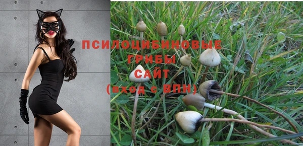 амф Алзамай