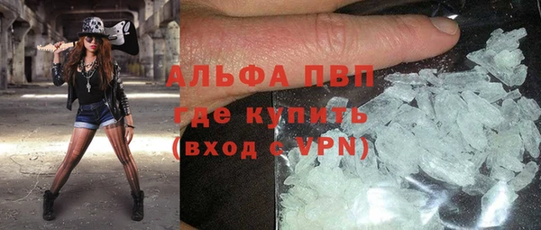 гашик Медногорск