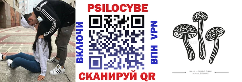mega зеркало  Азов  Псилоцибиновые грибы Magic Shrooms  цены  
